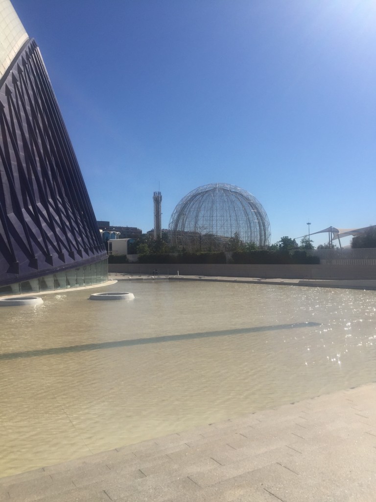 Foto: Ciudad de las artes y las ciencias - Oceanogràfic - Valencia (València), España