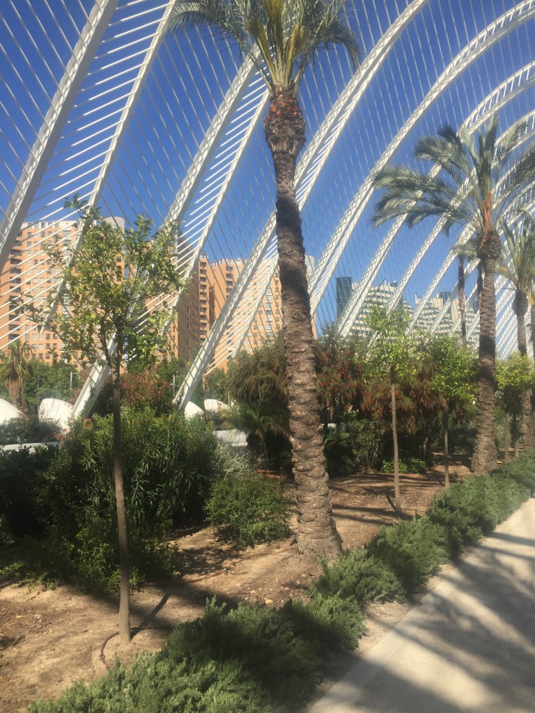 Foto: Ciudad de las artes y las ciencias - Oceanogràfic - Valencia (València), España
