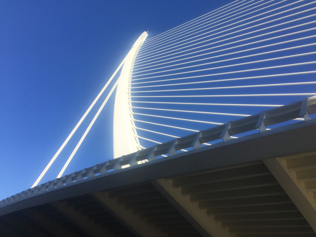 Foto: Ciudad de las artes y las ciencias - Oceanogràfic - Valencia (València), España
