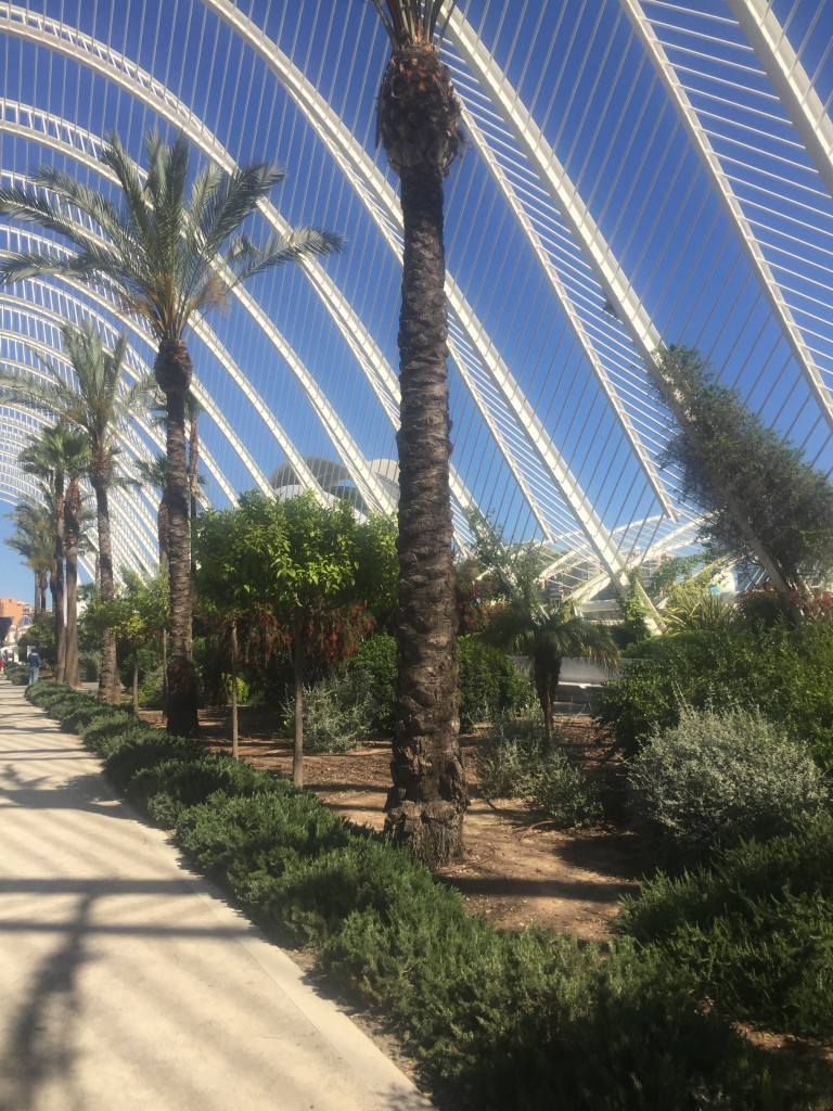 Foto: Ciudad de las artes y las ciencias - Oceanogràfic - Valencia (València), España