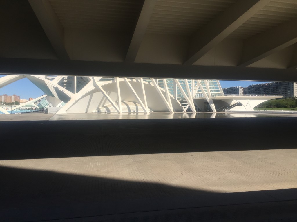 Foto: Ciudad de las artes y las ciencias - Oceanogràfic - Valencia (València), España