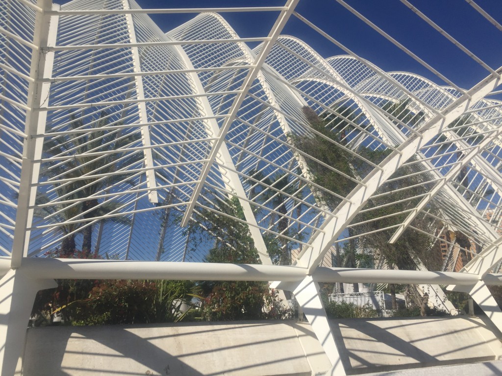 Foto: Ciudad de las artes y las ciencias - Oceanogràfic - Valencia (València), España