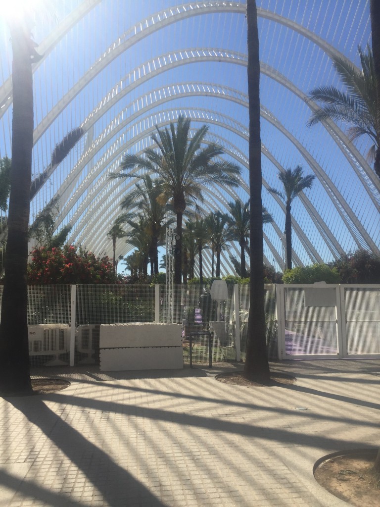 Foto: Ciudad de las artes y las ciencias - Oceanogràfic - Valencia (València), España