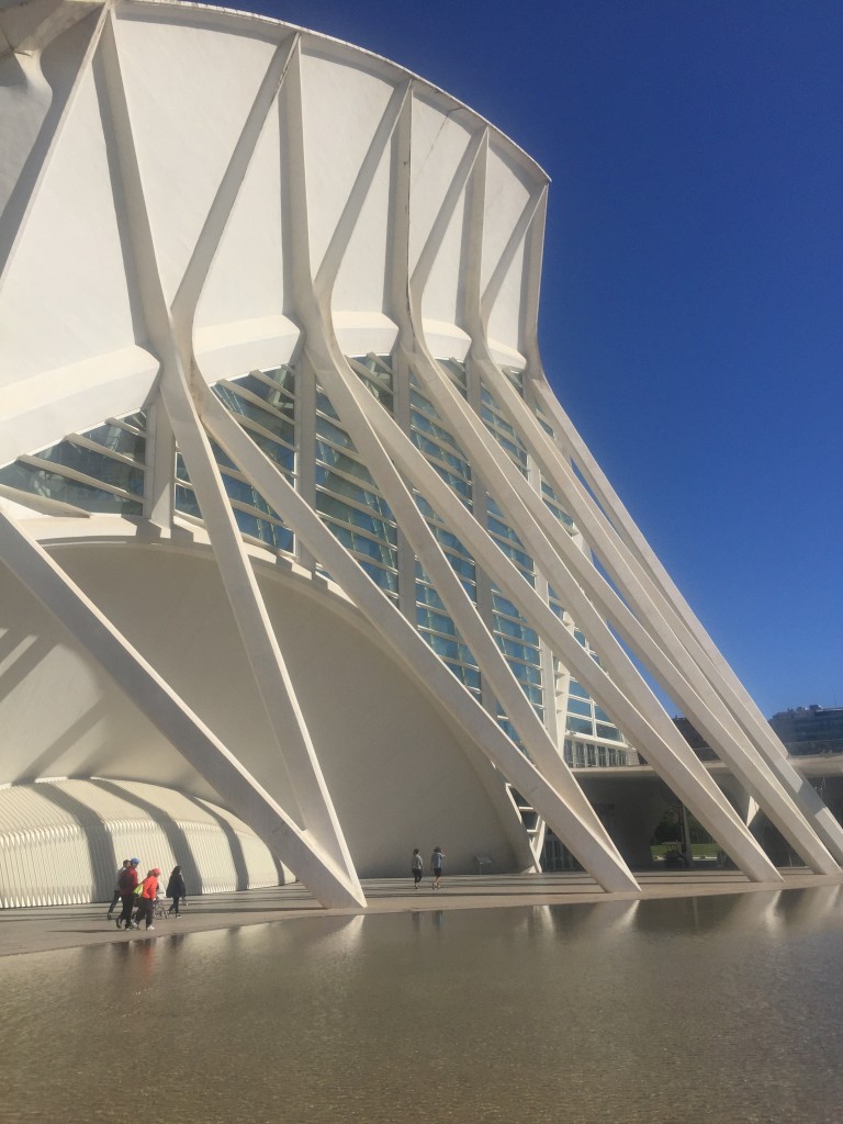 Foto: Ciudad de las artes y las ciencias - Oceanogràfic - Valencia (València), España
