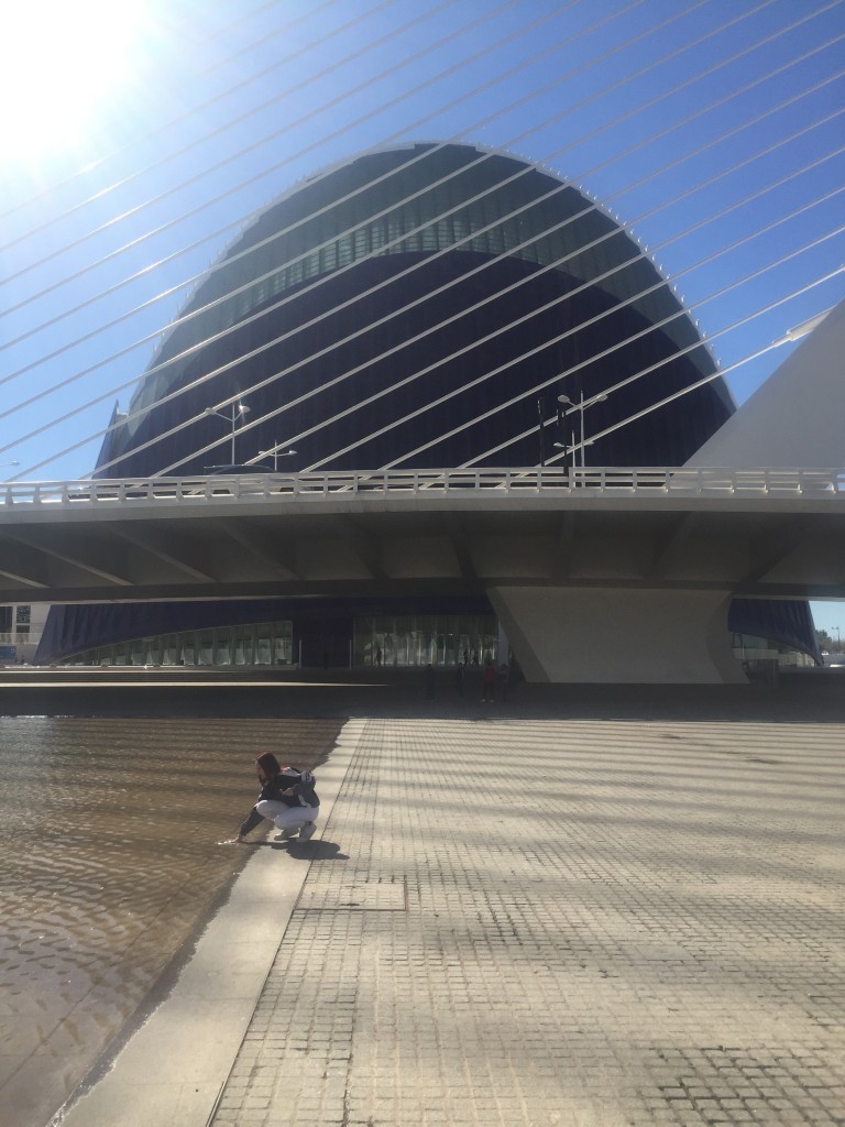 Foto: Ciudad de las artes y las ciencias - Oceanogràfic - Valencia (València), España