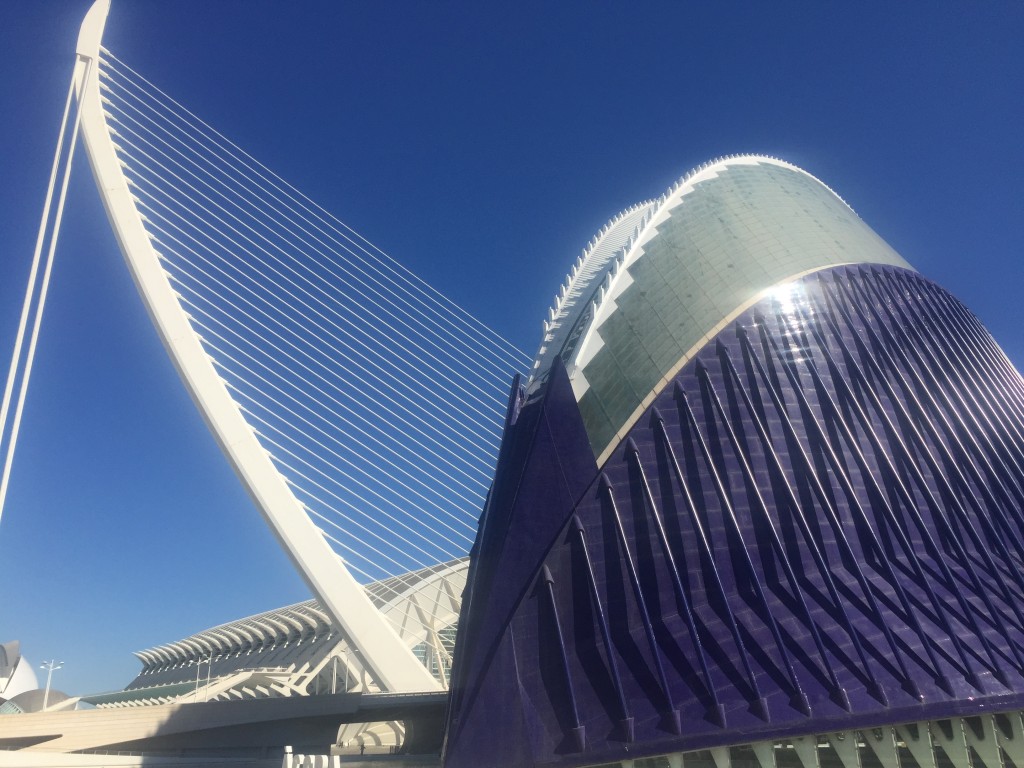Foto: Ciudad de las artes y las ciencias - Oceanogràfic - Valencia (València), España