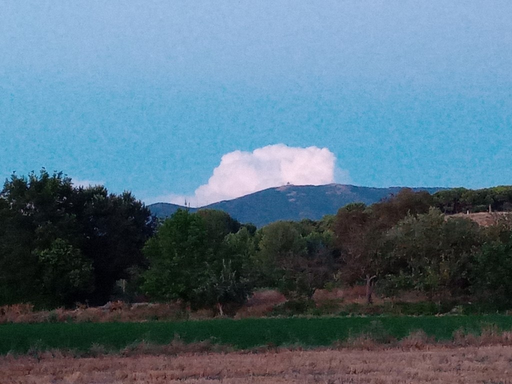 Foto: Sierra Vicort - Calatayud (Zaragoza), España