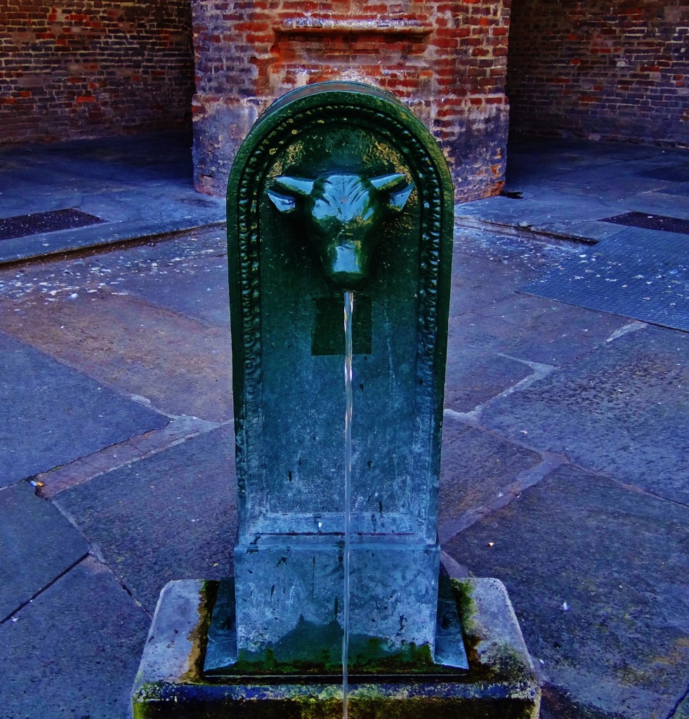 Foto: Centro Storico - Torino (Piedmont), Italia