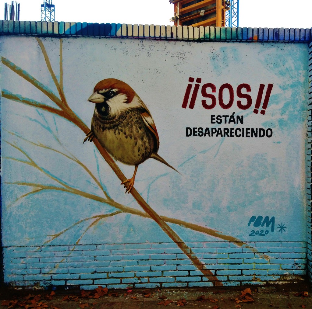 Foto: Graffiti Urbano - Barcelona (Cataluña), España