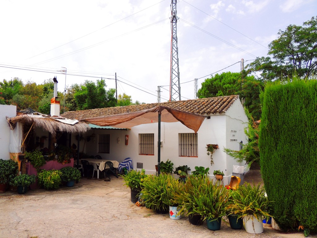 Foto de Prado del Rey (Cádiz), España