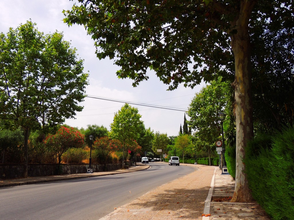 Foto de Prado del Rey (Cádiz), España