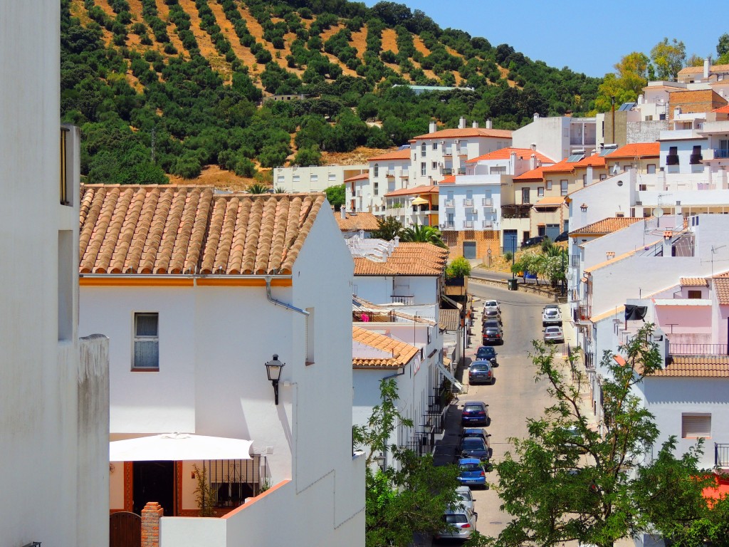 Foto de Prado del Rey (Cádiz), España