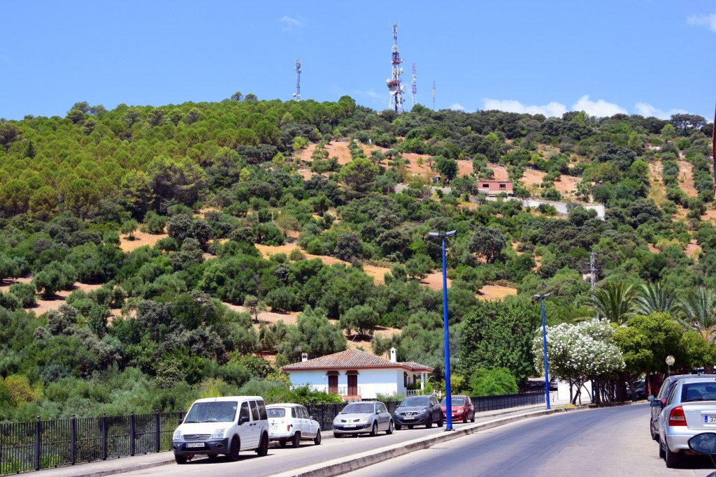 Foto de Prado del Rey (Cádiz), España