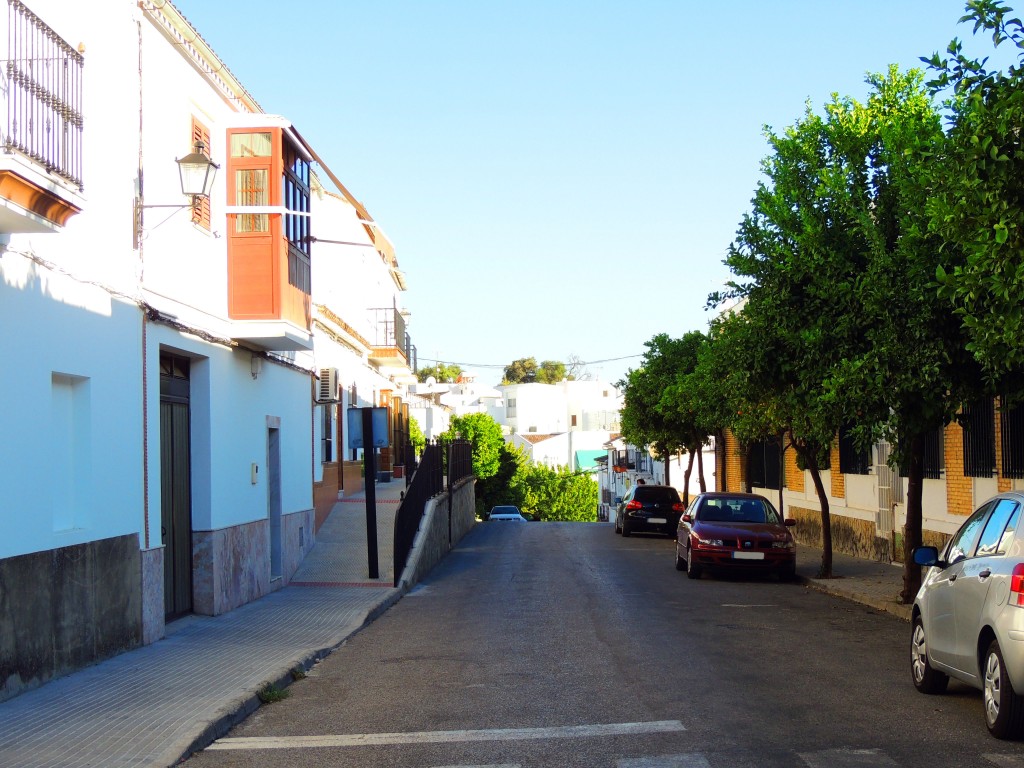 Foto de Prado del Rey (Cádiz), España