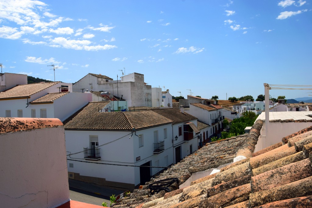 Foto de Prado del Rey (Cádiz), España