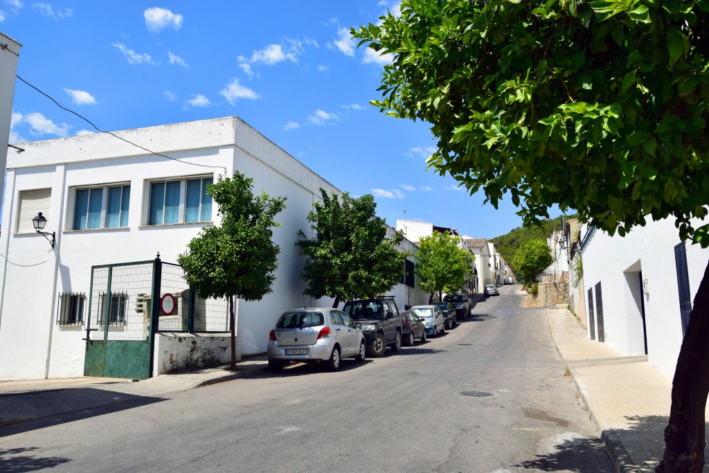 Foto de Prado del Rey (Cádiz), España