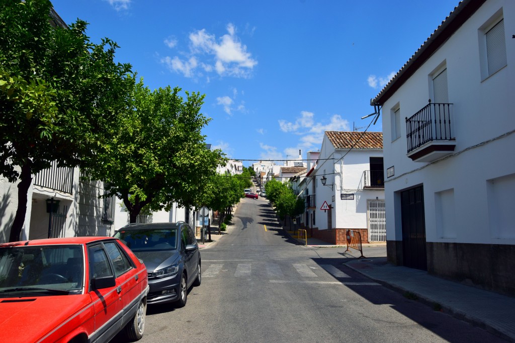 Foto de Prado del Rey (Cádiz), España