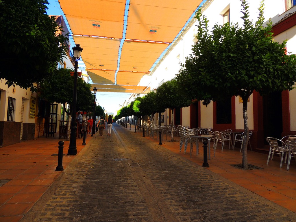 Foto de Prado del Rey (Cádiz), España
