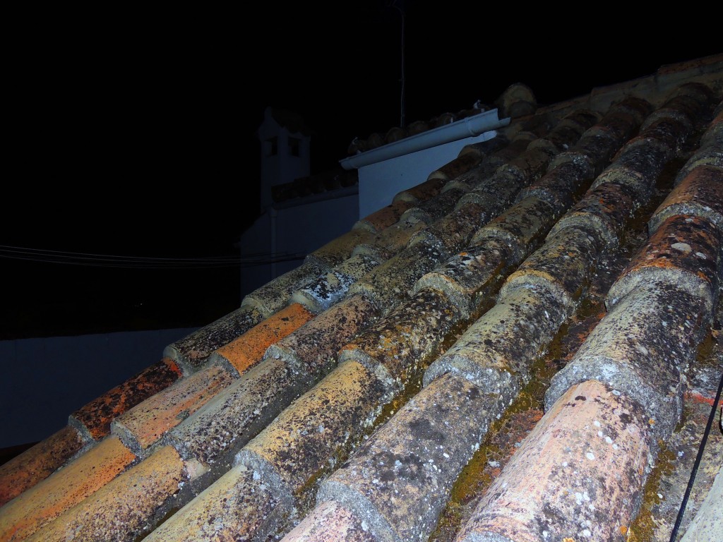 Foto de Prado del Rey (Cádiz), España