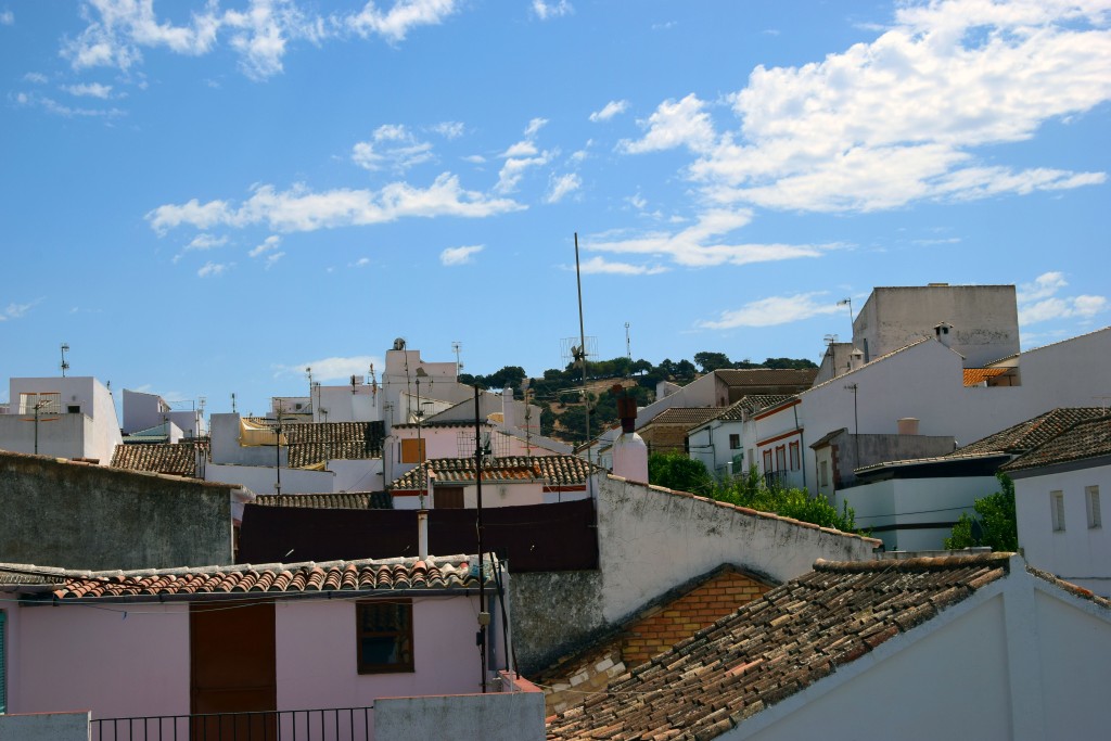 Foto de Prado del Rey (Cádiz), España