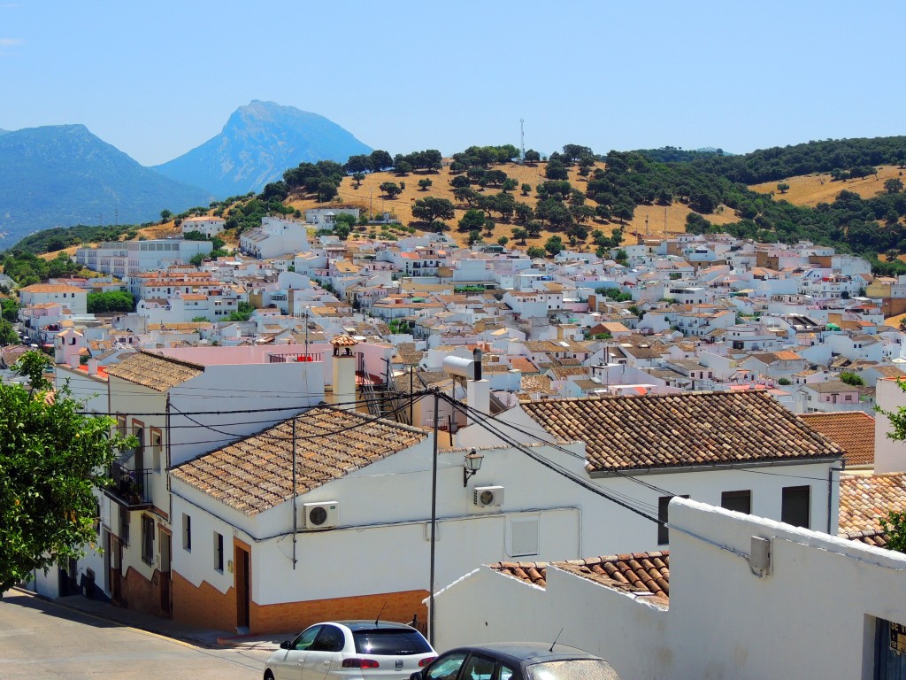 Foto de Prado del Rey (Cádiz), España