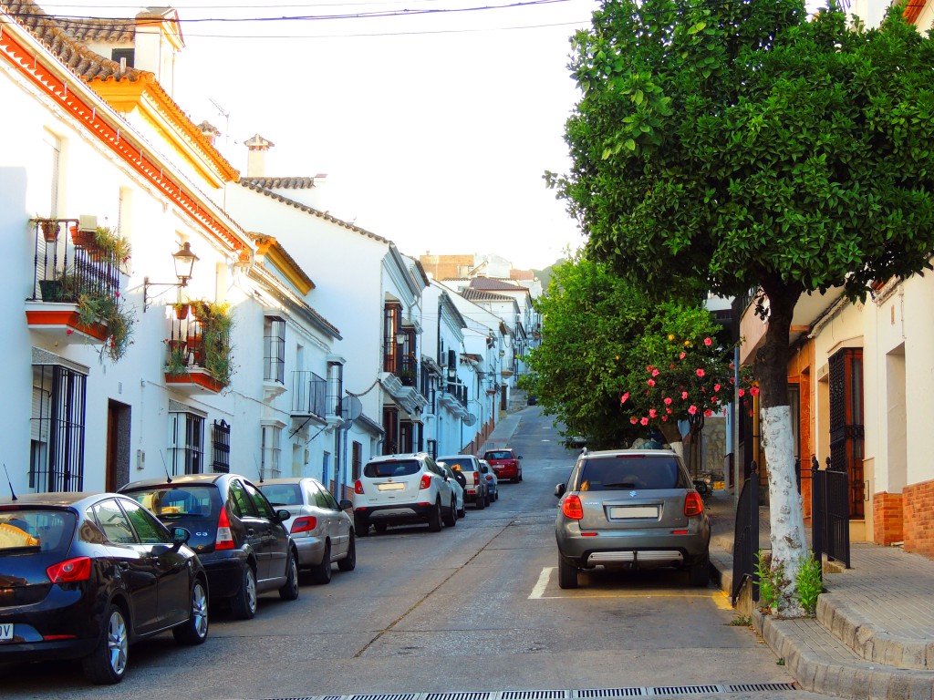 Foto de Prado del Rey (Cádiz), España
