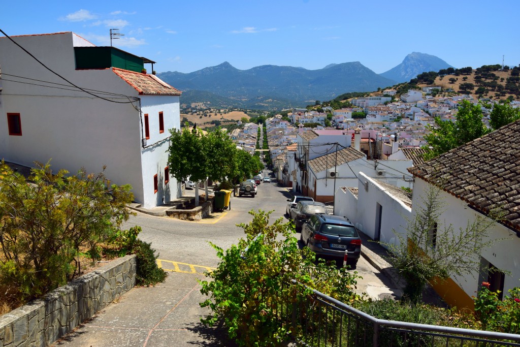 Foto de Prado del Rey (Cádiz), España