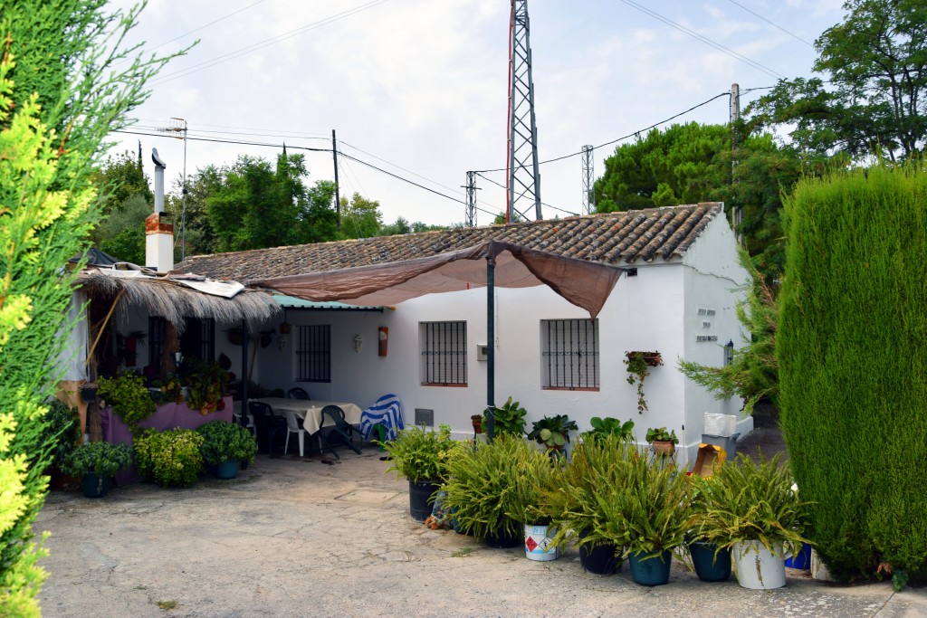 Foto de Prado del Rey (Cádiz), España
