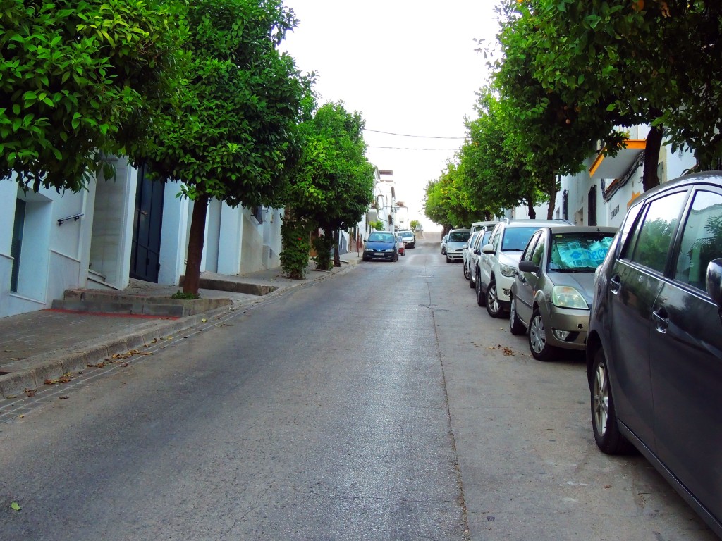 Foto de Prado del Rey (Cádiz), España