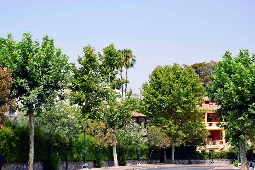 Foto de Prado del Rey (Cádiz), España