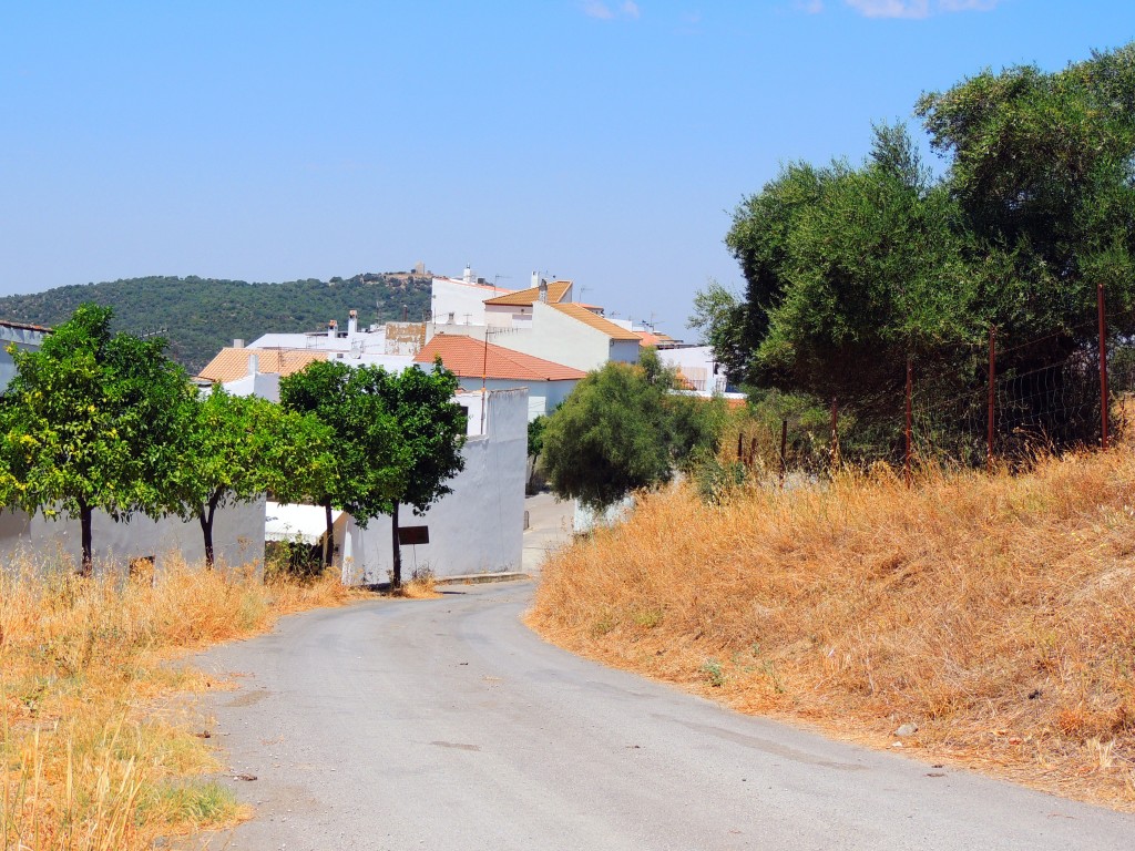Foto de Prado del Rey (Cádiz), España