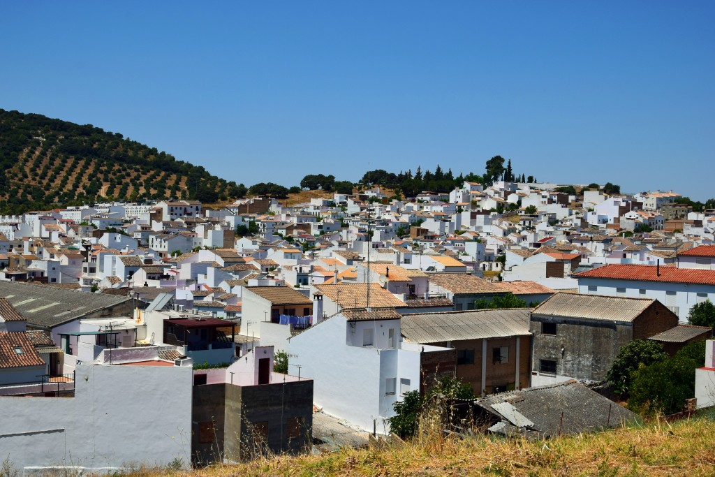 Foto de Prado del Rey (Cádiz), España