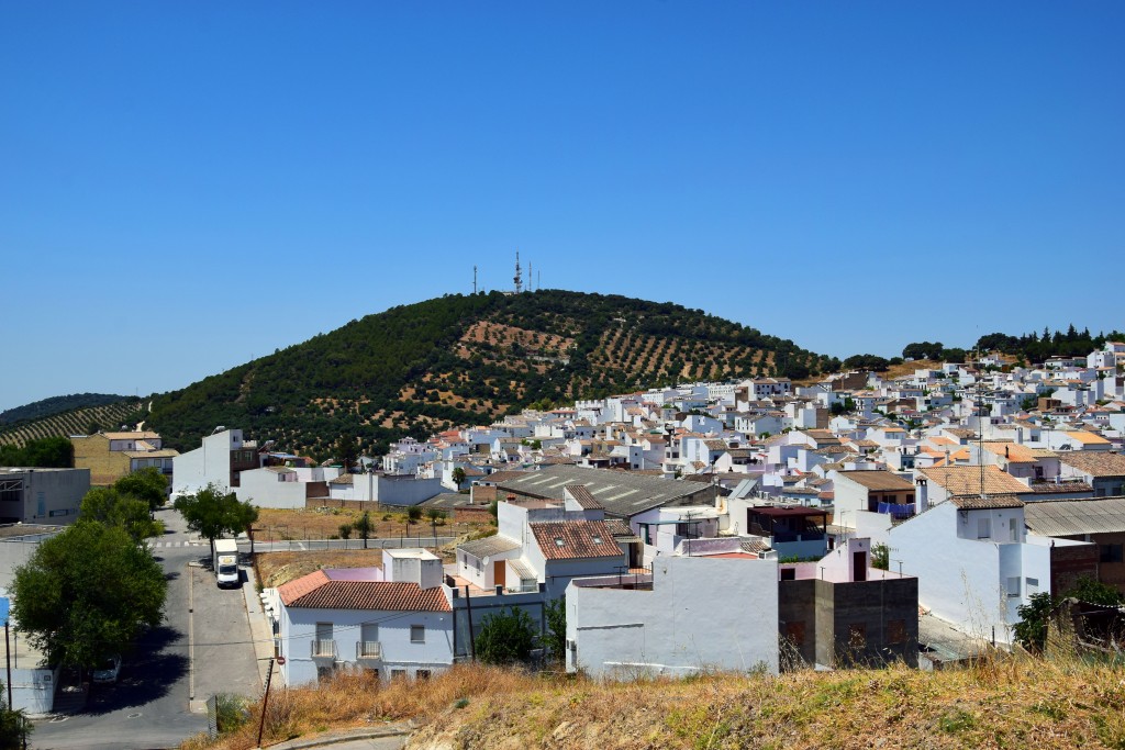 Foto de Prado del Rey (Cádiz), España