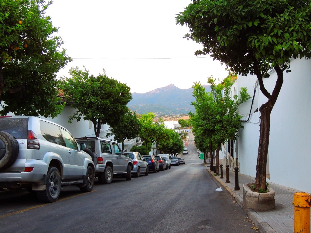 Foto de Prado del Rey (Cádiz), España