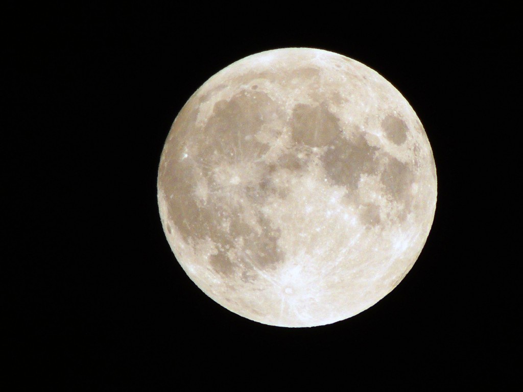 Foto de Prado del Rey (Cádiz), España