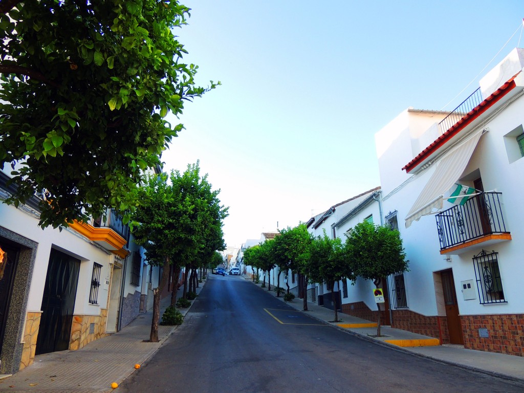 Foto de Prado del Rey (Cádiz), España