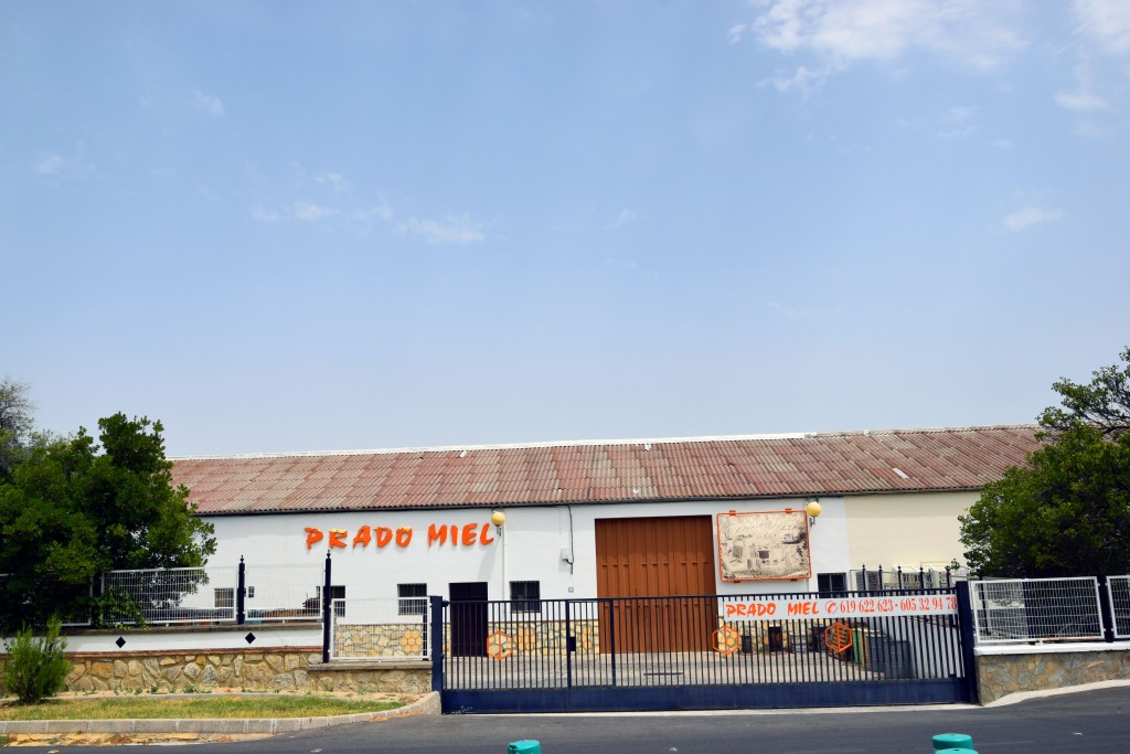 Foto de Prado del Rey (Cádiz), España