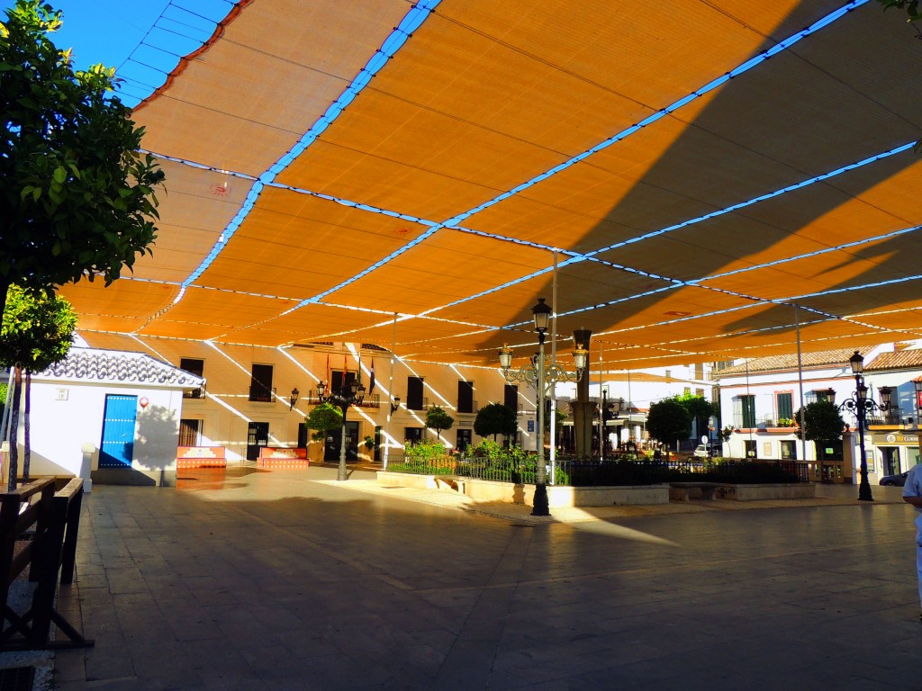 Foto de Prado del Rey (Cádiz), España