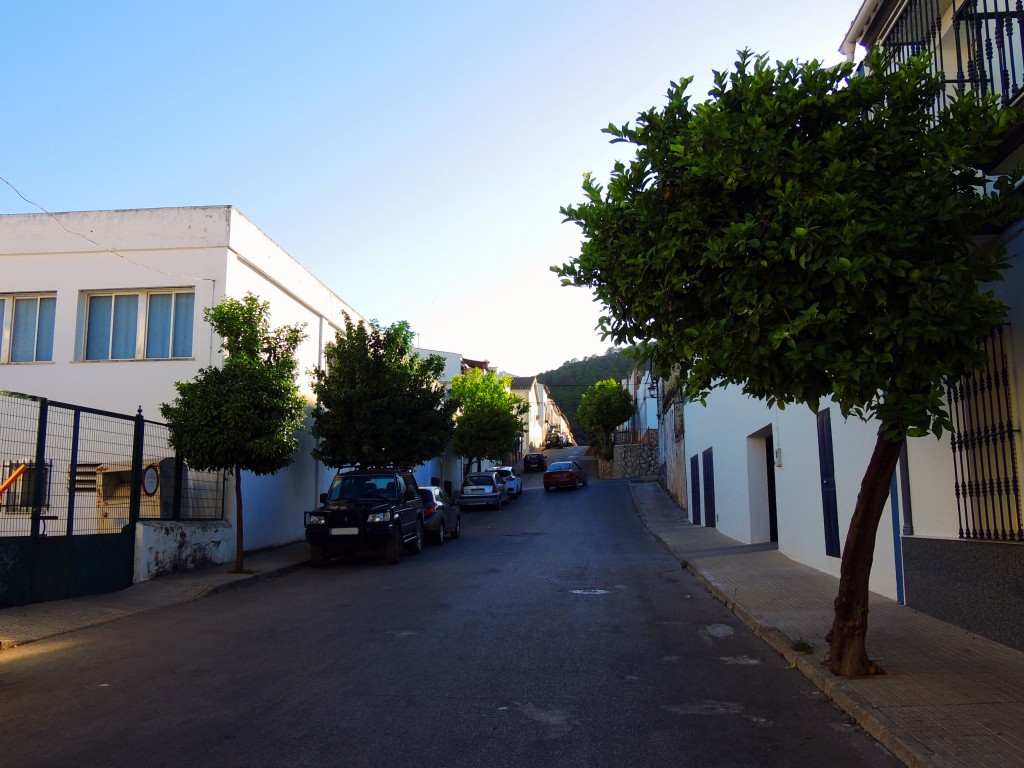 Foto de Prado del Rey (Cádiz), España