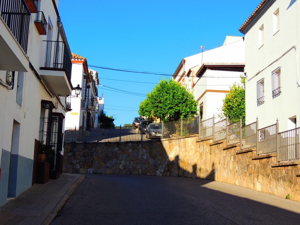 Foto de Prado del Rey (Cádiz), España