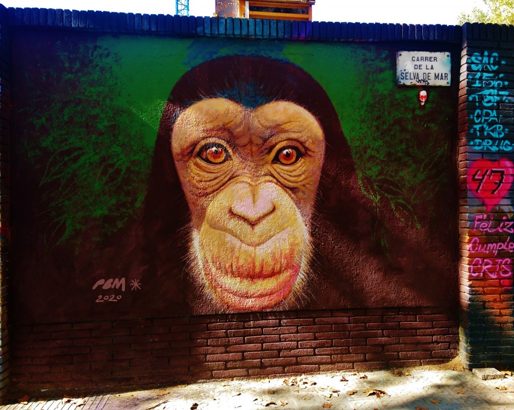 Foto: Graffiti Urbano - Barcelona (Cataluña), España