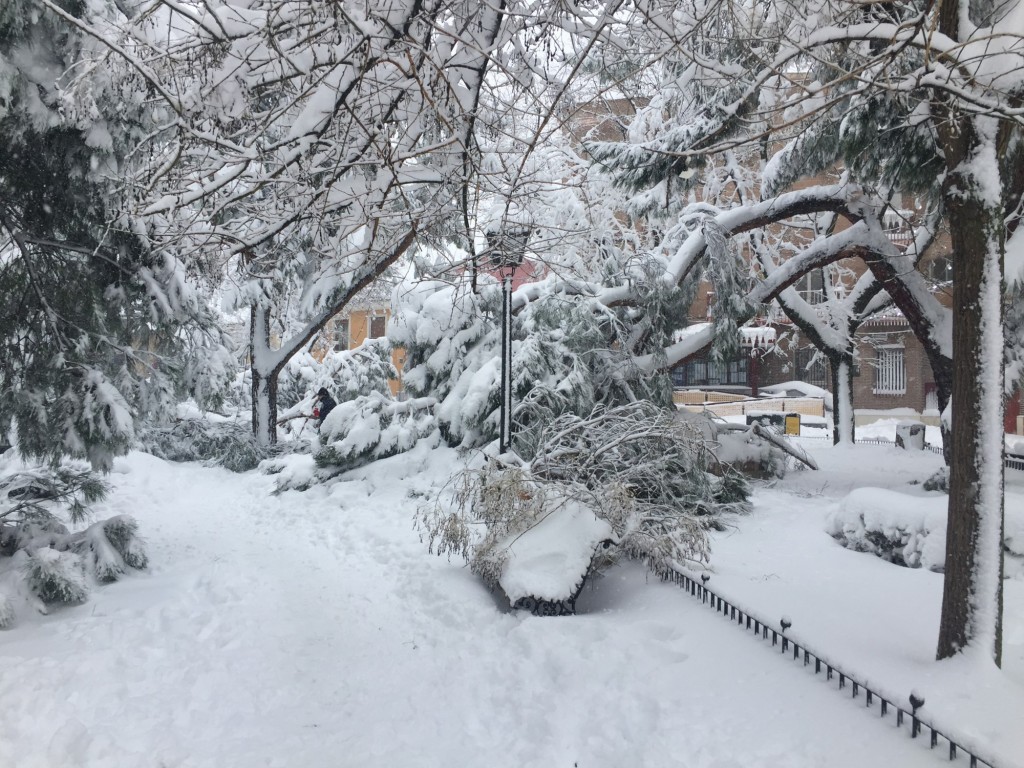 Foto: Nevada Madrid 2021 - Madrid (Comunidad de Madrid), España