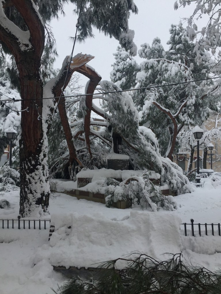 Foto: Nevada Madrid 2021 - Madrid (Comunidad de Madrid), España