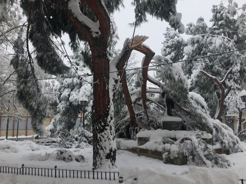 Foto: Nevada Madrid 2021 - Madrid (Comunidad de Madrid), España