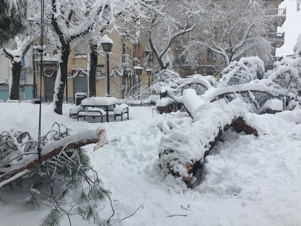 Foto: Nevada Madrid 2021 - Madrid (Comunidad de Madrid), España