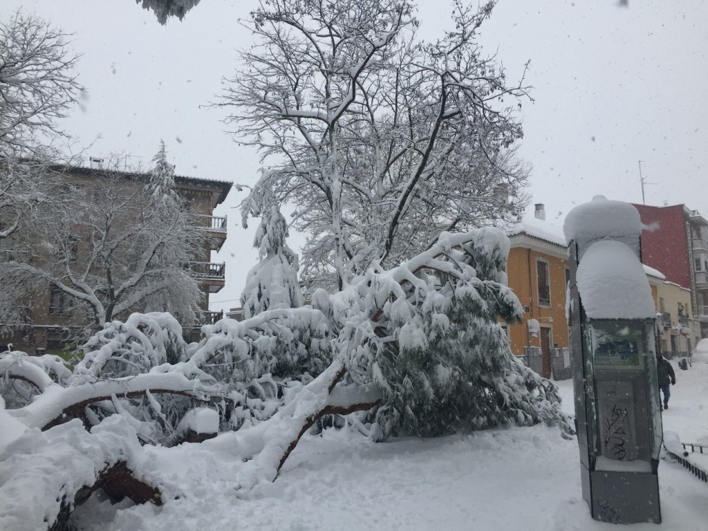 Foto: Nevada Madrid 2021 - Madrid (Comunidad de Madrid), España