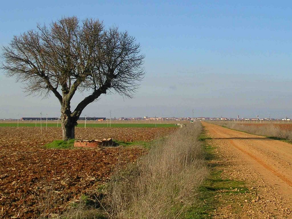 Foto: camino a Santa María del Páramo - Santa Cristina del Páramo (Castilla y León), España