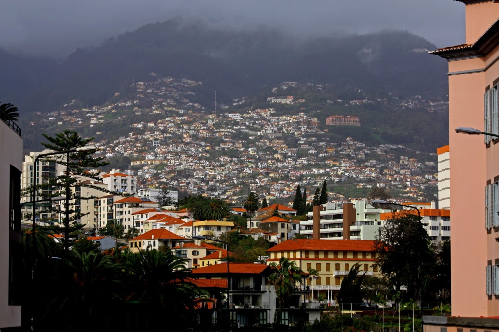 Foto: Funchal - Ilha da Madeira - Funchal (Madeira), Portugal