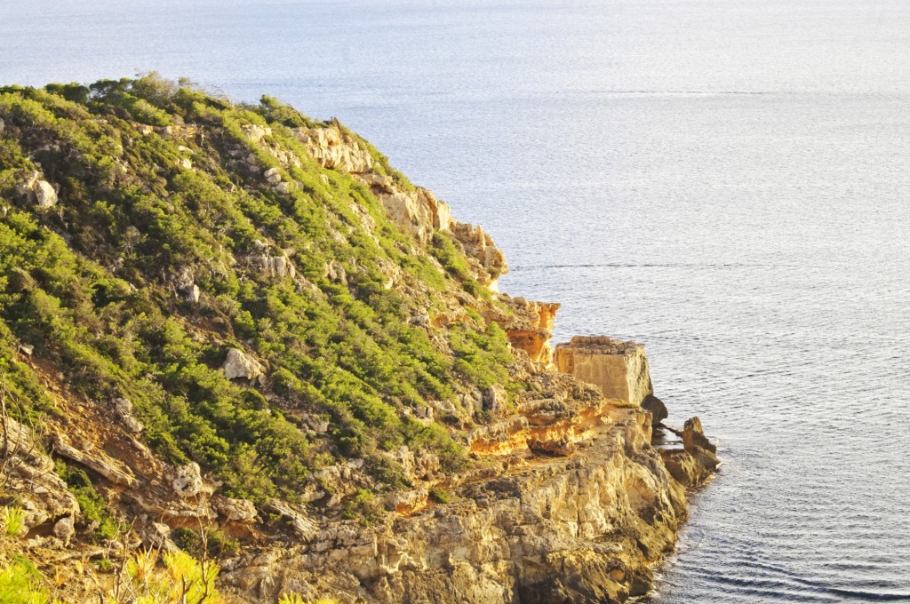 Foto: Morro den Feliu - Calvia, El Toro (Illes Balears), España
