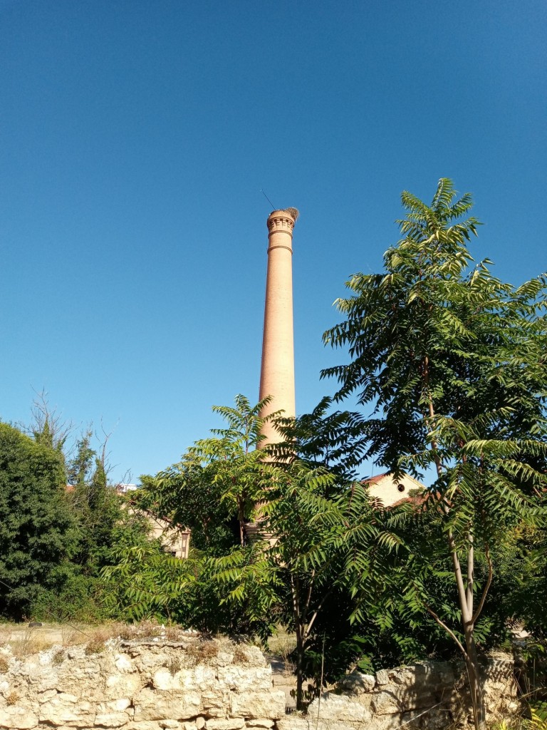 Foto: Antigua azucarera - Calatayud (Zaragoza), España